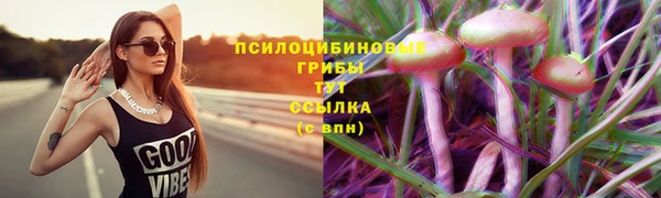 сатива Армянск