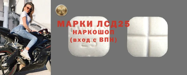 сатива Армянск