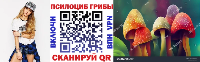 Псилоцибиновые грибы ЛСД  Купить  Онега 