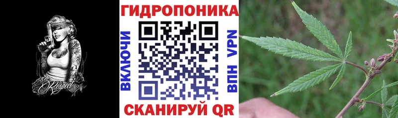 Купить закладки  Онега  Бошки Шишки конопля 